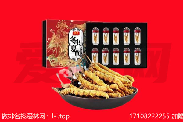 无锡市回收虫草.jpg